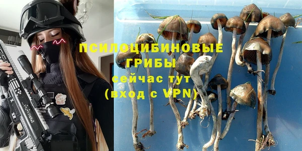 a pvp Алексеевка